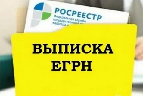 Стоимость выписки ЕГРН изменяться с 01 января 2025 года.
